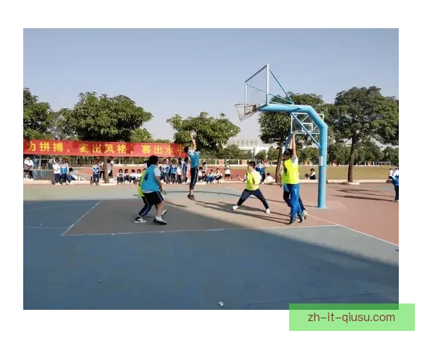 全方位解读篮球赛场：深度报道与分析