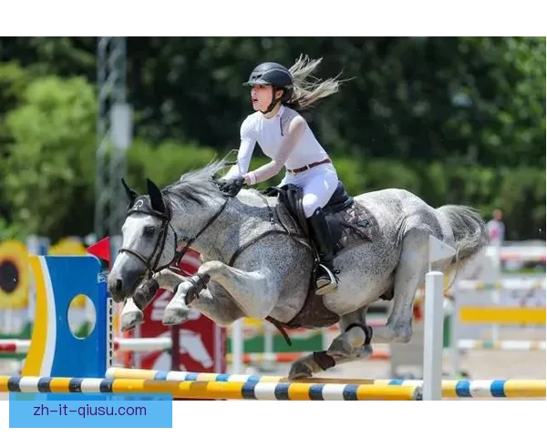 马术障碍赛：勇者之战、速度之争