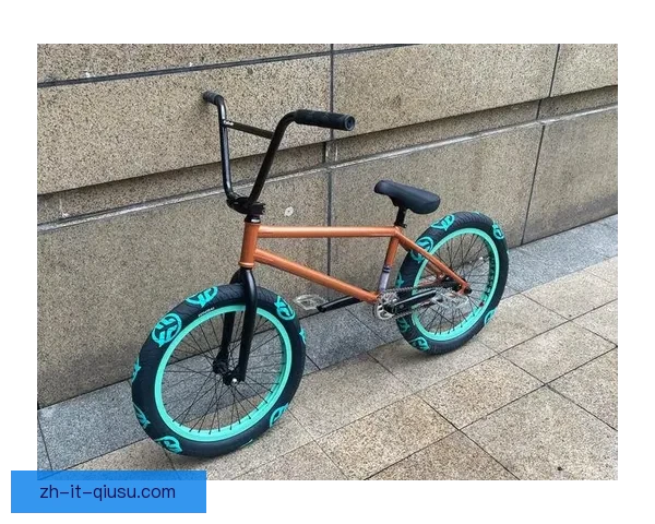 BMX排名大揭秘：挑战赛中的佼佼者