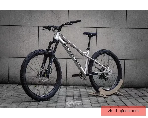 BMX排名解读及技术分享：实战经验助你登上榜首