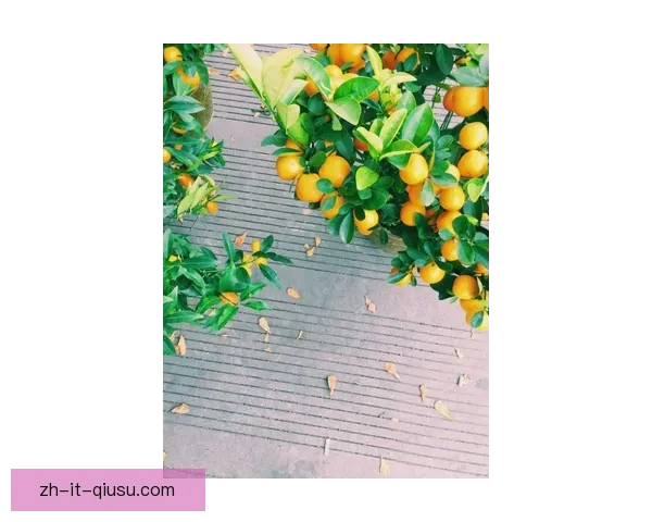 全程直播！跑者飒爽英姿，马拉松魅力无限，全网同步感受精彩赛道瞬间