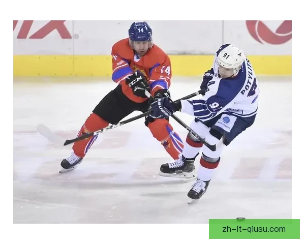 冰球冠军争夺战：雄鹰之翼展翅翱翔