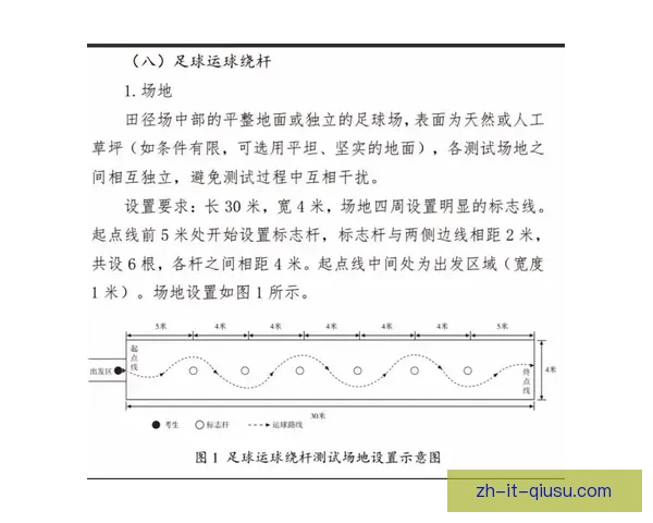 学习排球基础技巧及规则指南