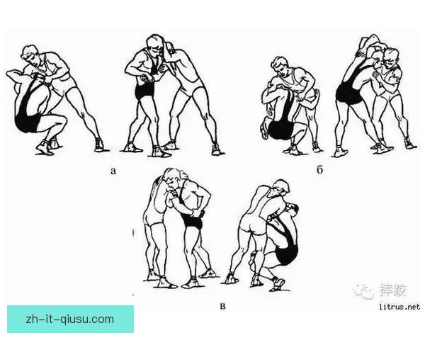 学摔跤技巧，提升实战能力