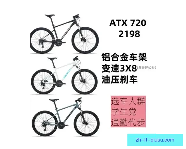 山地车入门指南：骑行新手必备的装备和技巧