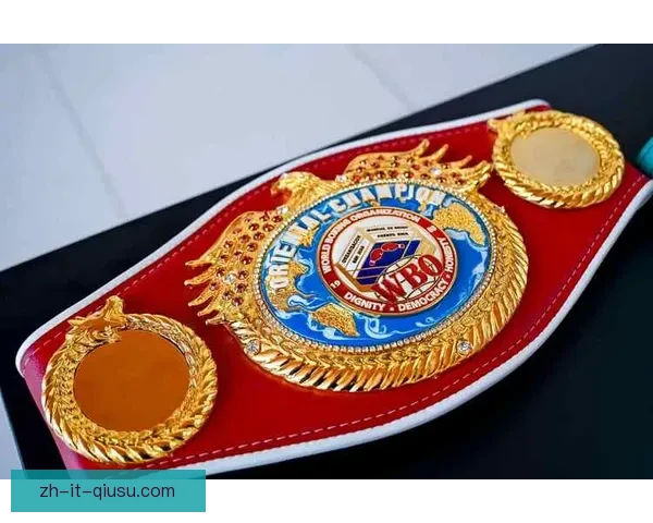 拳击精英争霸：挑战积分榜巅峰