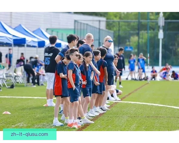 排球比赛中的黄金时刻：技艺交锋，激发激情