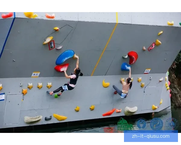 攀岩精英争霸：挑战高峰，冲破极限