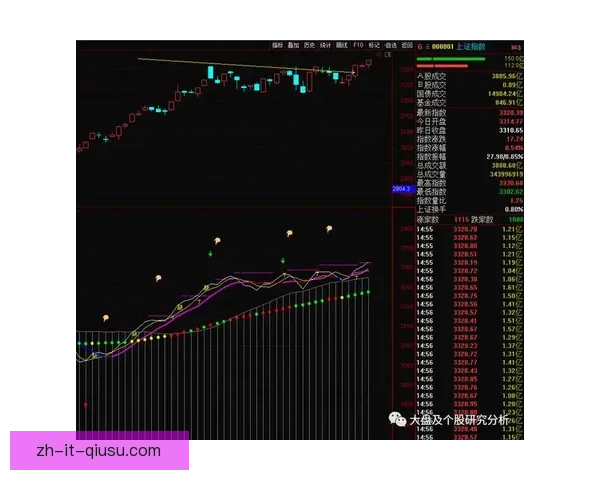 摔跤比赛精准预测：技术分析与胜负研判