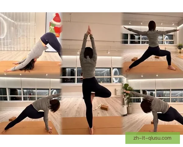 瑜伽大奖赛：探索身心平衡的奥秘