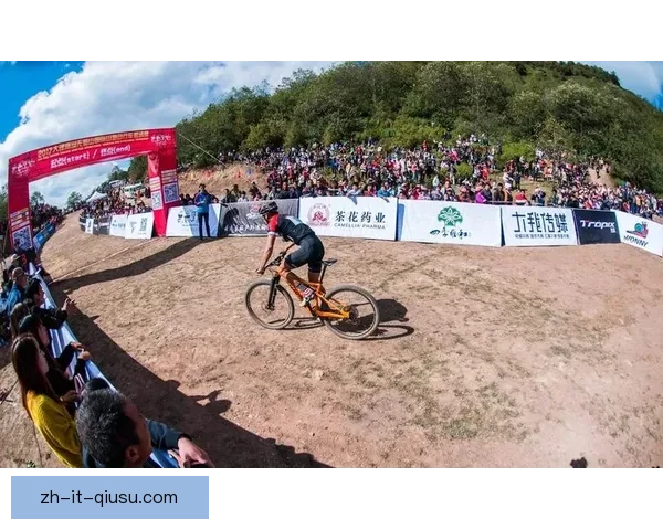 自行车冠军之路：征战赛场，勇创佳绩，绽放光芒