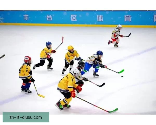 精彩对决！冰球赛收官，胜负揭晓，双方实力对比犹如火与冰的较量