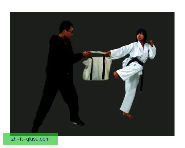 跆拳道初学者入门指南