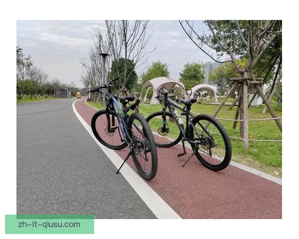 骑行直播：探索自行车文化，感受风景之美