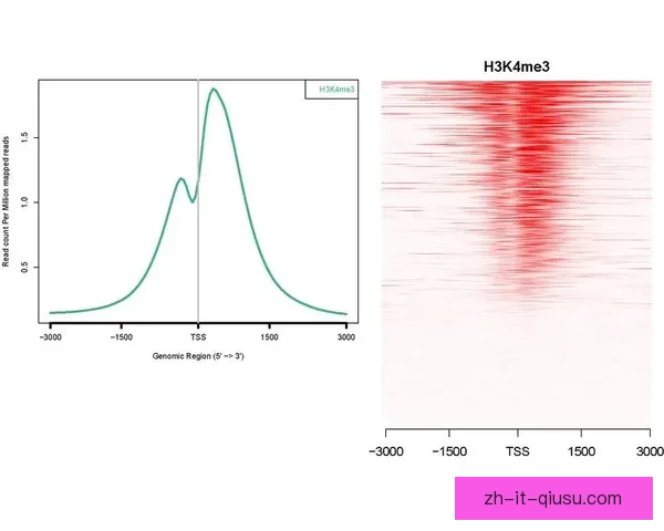 马拉松数据挖掘与可视化技术创新